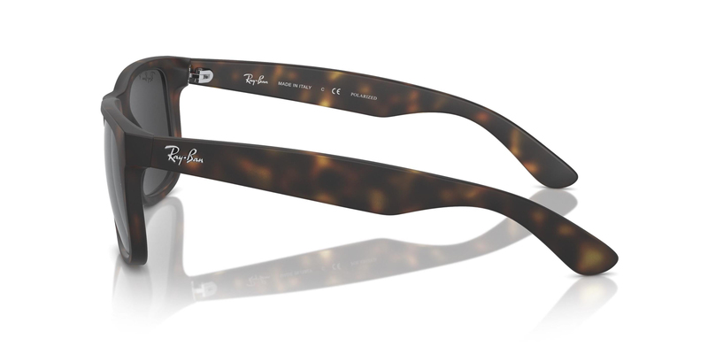 RAY-BAN 4165 865/87 55 Erkek Güneş Gözlüğü