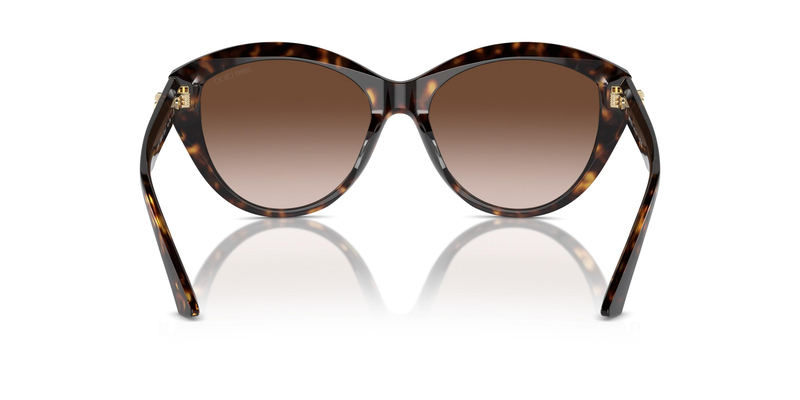JIMMY CHOO 0JC5007 500213 55