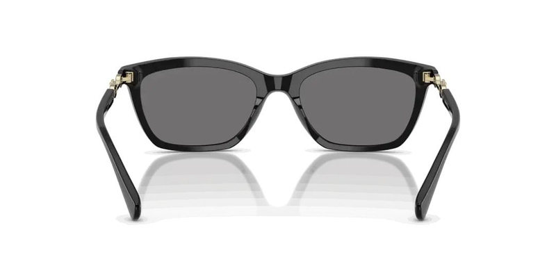 EMPORIO ARMANI 4238 501781 54