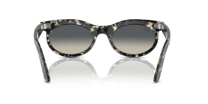 RAY-BAN 2242 133371 50 Güneş Gözlüğü