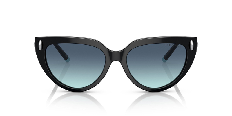 TİFFANY SUNGLASSES 0TF4195 80019S 54