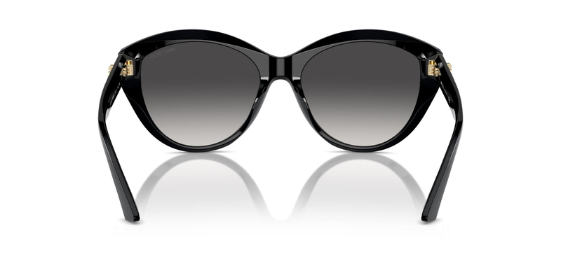 JIMMY CHOO 0JC5007 50008G 55