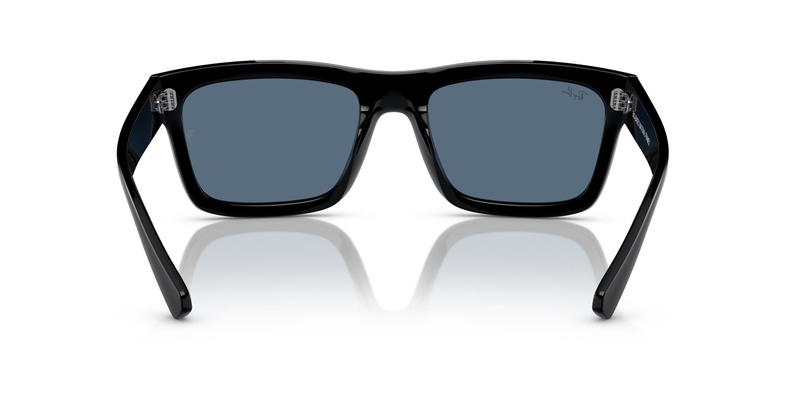 RAY-BAN 4396 667780 54