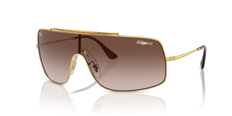 RAY-BAN 3897 001/13 36 Güneş Gözlüğü