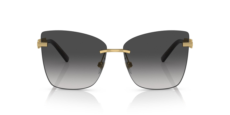 DOLCE & GABBANA 0DG2289 02/8G 59