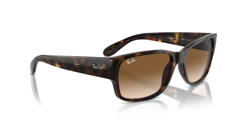 RAY-BAN 4388 710/51 58 Güneş Gözlüğü