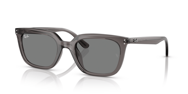 RAY-BAN 0RB4439D 667587 54