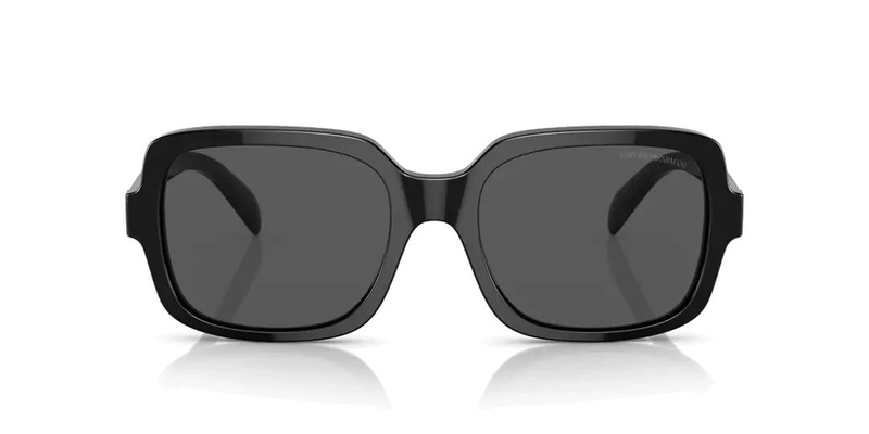 EMPORIO ARMANI 4195 501787 55