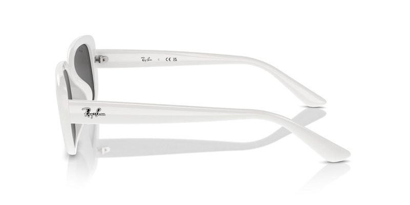 RAY-BAN 4421D 677287 56 Güneş Gözlüğü