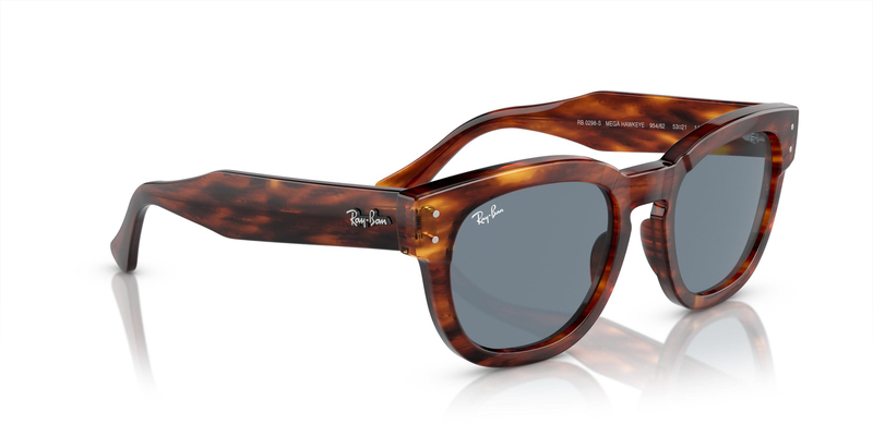 RAY-BAN 0298S 954/62 53 Güneş Gözlüğü
