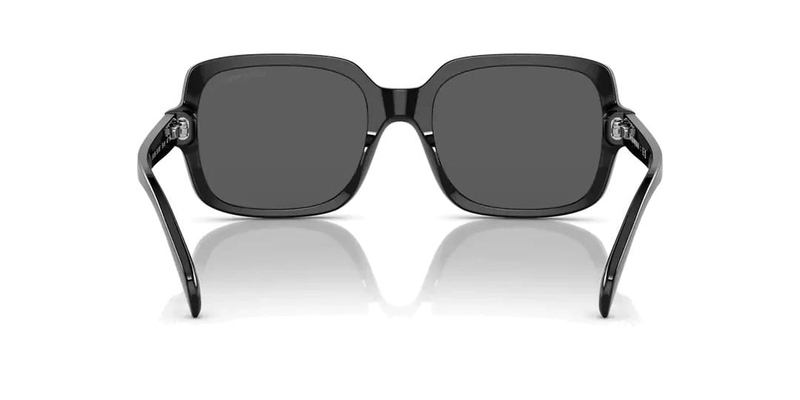 EMPORIO ARMANI 4195 501787 55