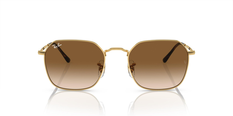 RAY-BAN 0RB3694 001/51 53