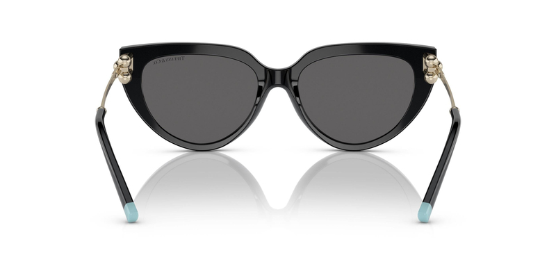 TİFFANY SUNGLASSES 0TF4195 8001S4 54