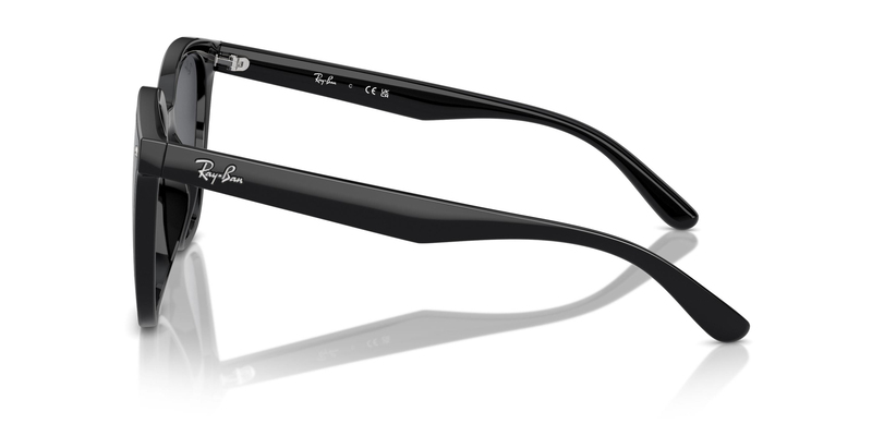 RAY-BAN 4423D 601/87 66 Güneş Gözlüğü