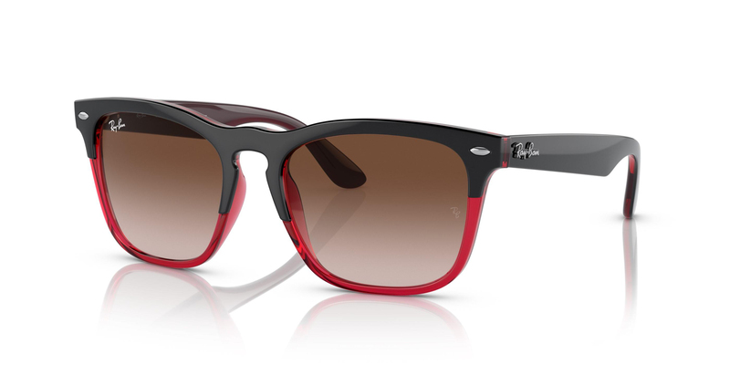 RAY-BAN 0RB4487 663113 54