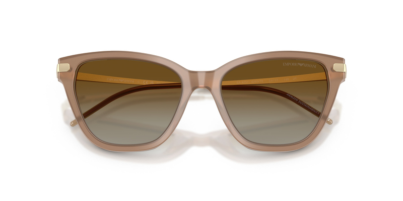 EMPORIO ARMANI 4251 6263T5 54