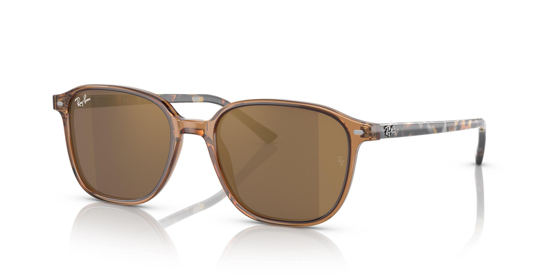 RAY-BAN 0RB2193 663693 53