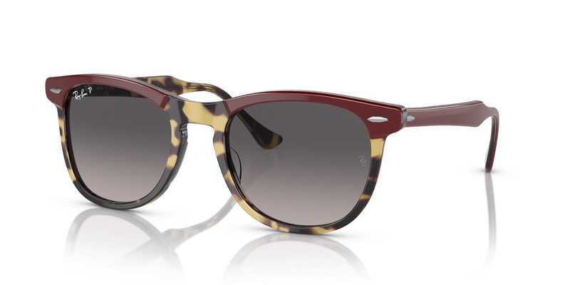 RAY-BAN 0RB2398 1377M3 53