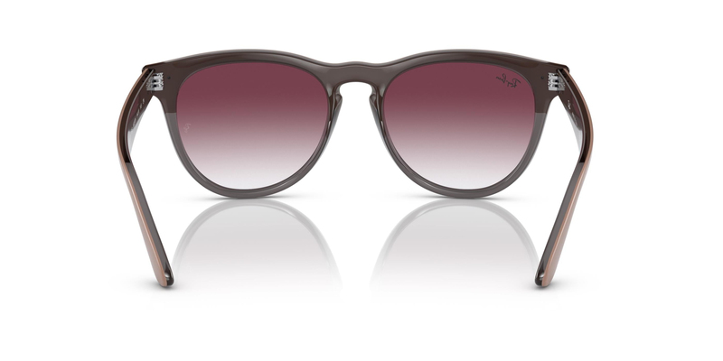 RAY-BAN 4471 66338H 54