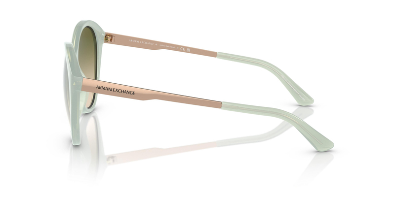 ARMANI EXCHANGE 4134S 8160W0 55