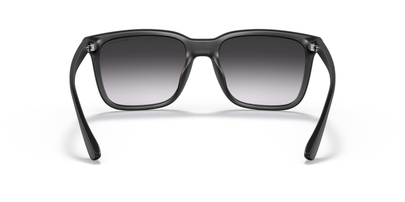 ARMANI EXCHANGE 4112SU 80788G 55 Erkek Güneş Gözlüğü