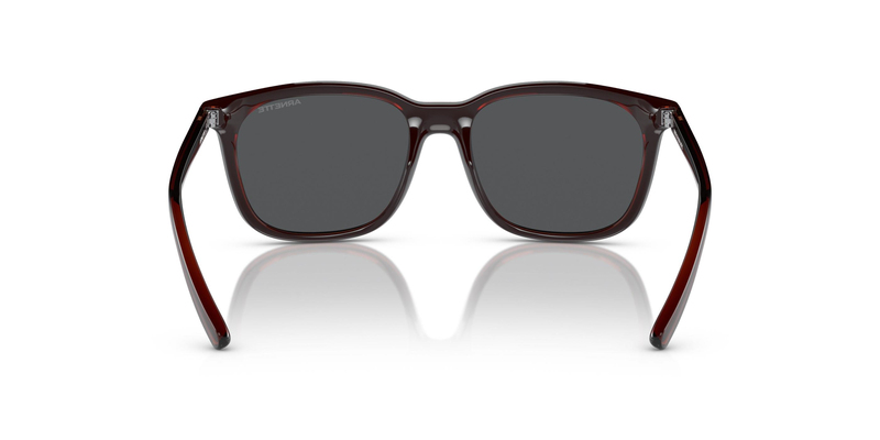 ARNETTE 0AN4316 288055 51