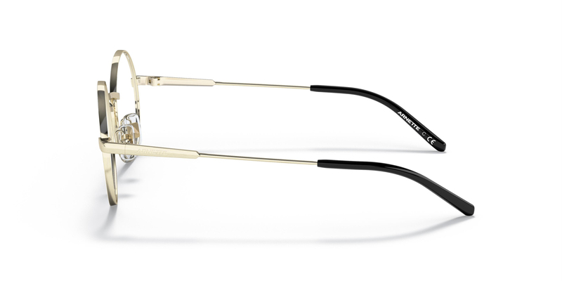ARNETTE 3083 739SB 49 Güneş Gözlüğü
