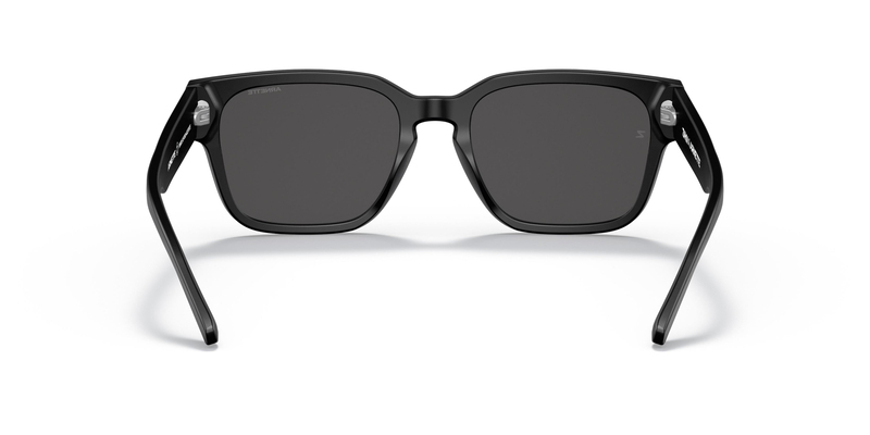 ARNETTE 4294 121987 54 Güneş Gözlüğü