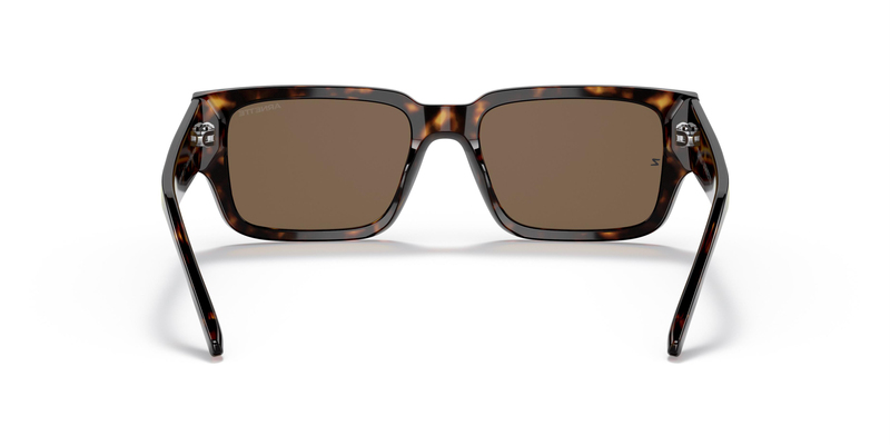ARNETTE 4296 122273 54