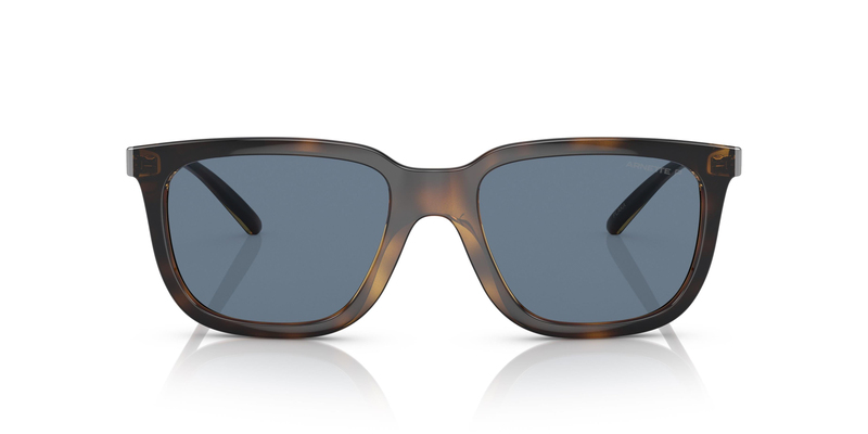 ARNETTE 4306 27702V 54 Güneş Gözlüğü