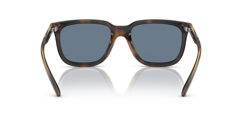 ARNETTE 4306 27702V 54 Güneş Gözlüğü