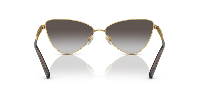 DOLCE & GABBANA 0DG2290 13118G 60