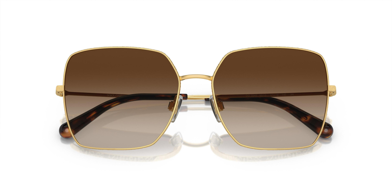 DOLCE & GABBANA 2242 02/13 57