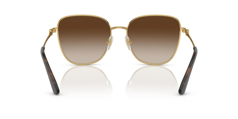 DOLCE & GABBANA 2293 02/13 56