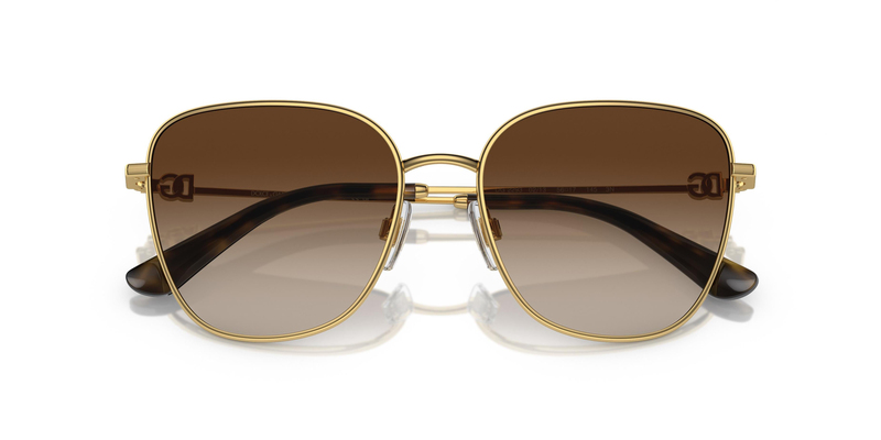 DOLCE & GABBANA 2293 02/13 56