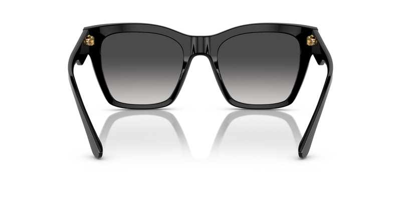DOLCE & GABBANA  4384 501/8G 53