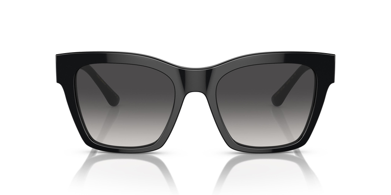 DOLCE & GABBANA  4384 501/8G 53