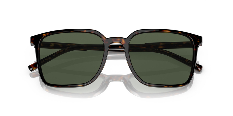DOLCE & GABBANA 4424 502/9A 56