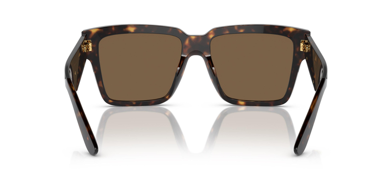 DOLCE & GABBANA 4436 502/73 55
