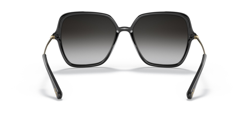 DOLCE & GABBANA DOLCE & GABBANA6157 501/8G 57