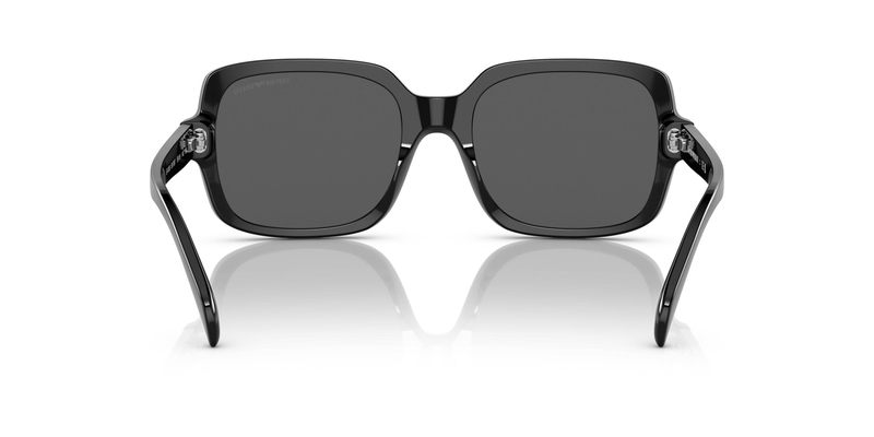 EMPORIO ARMANI 0EA4195 501787 55