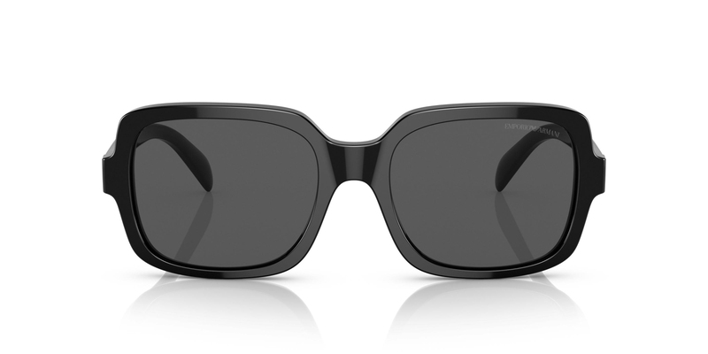 EMPORIO ARMANI 0EA4195 501787 55