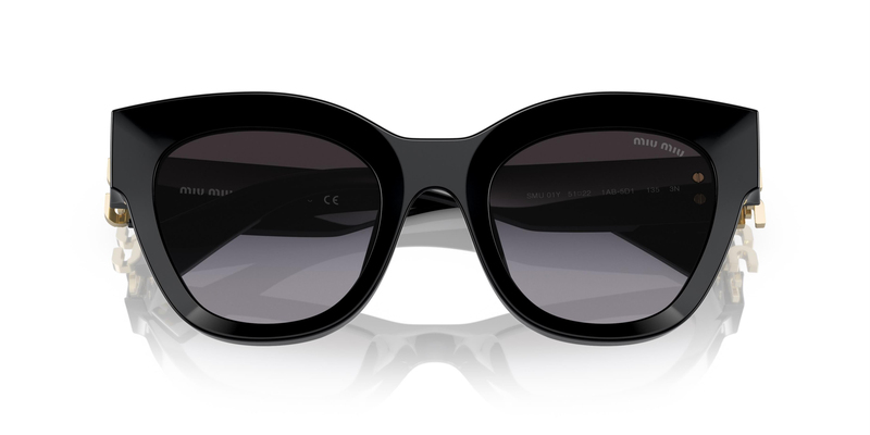 MIU MIU  01YS 1AB5D1 51
