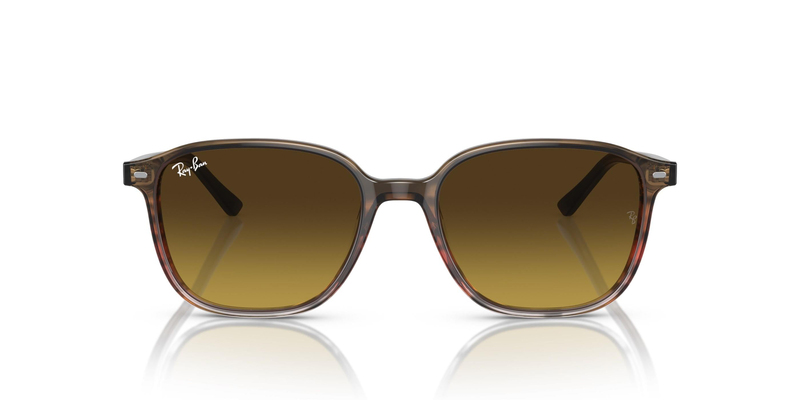RAY-BAN 2193 138085 53 Güneş Gözlüğü