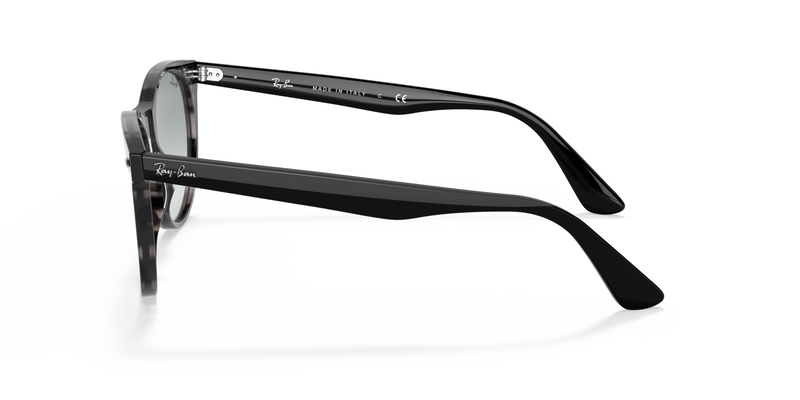 RAY-BAN 2185 1250AD 55 Güneş Gözlüğü