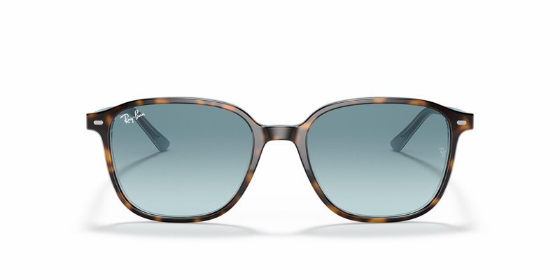 Ray-Ban  RB 2193 13163M 53