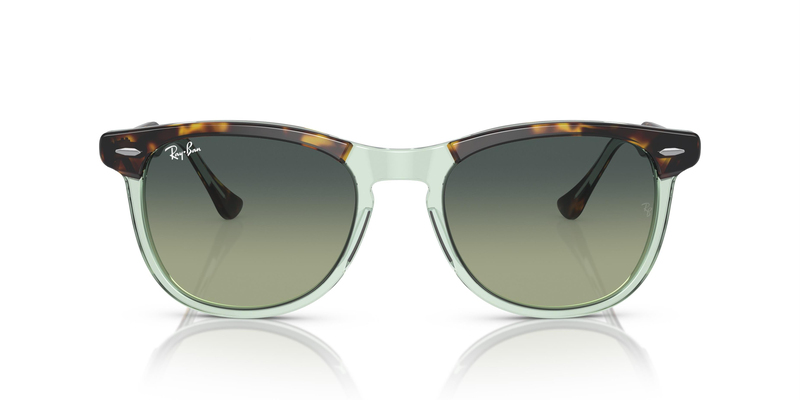 RAY-BAN 2398 1376BH 53 Güneş Gözlüğü