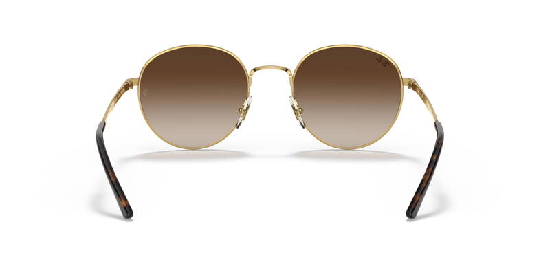RAY-BAN 3681 001/13 50 Güneş Gözlüğü