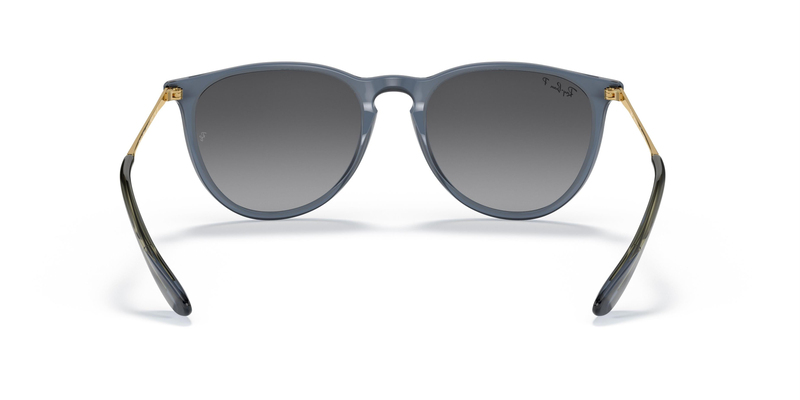 RAY-BAN 4171 6592T3 54 Erika Güneş Gözlüğü