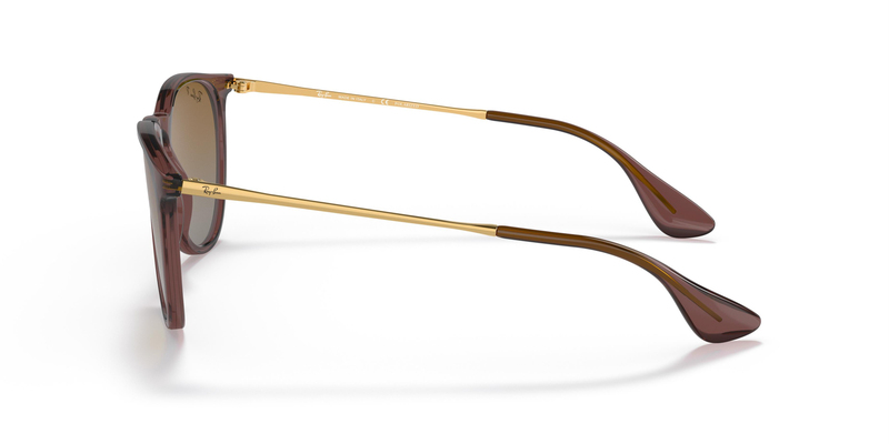 RAY-BAN 4171 6593T5 54 Erika Güneş Gözlüğü